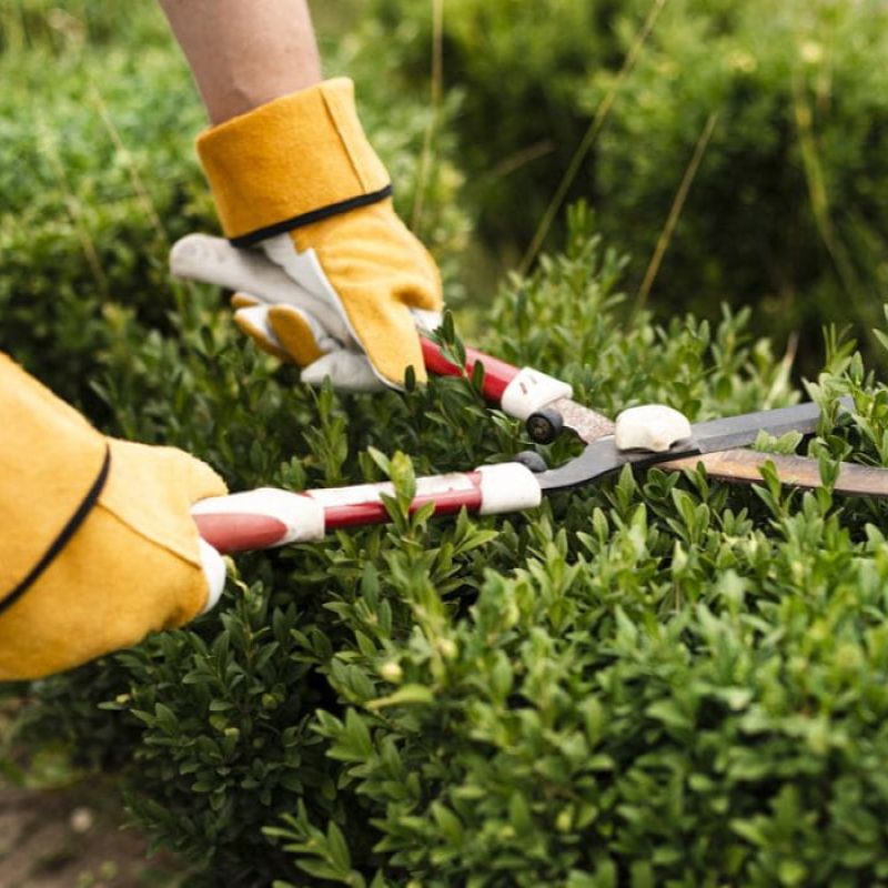 Garden & landscape maintenance