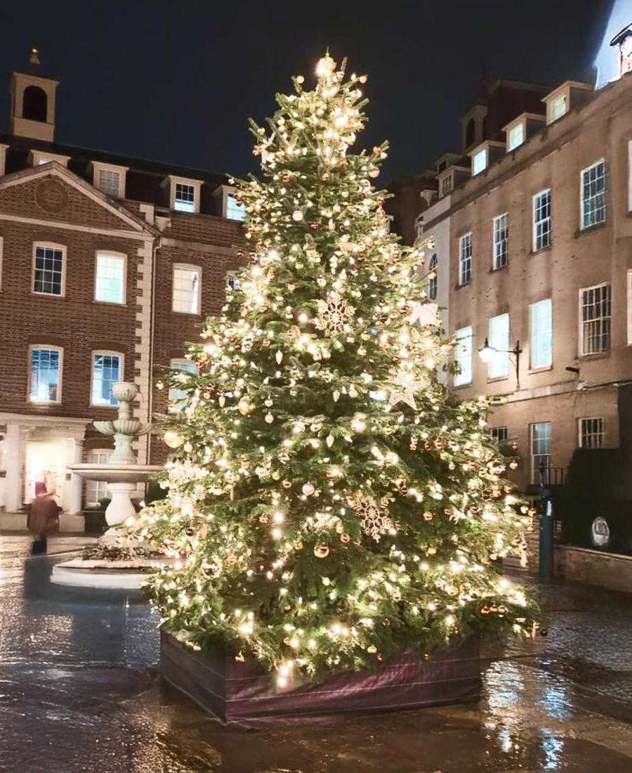 4thd external tree