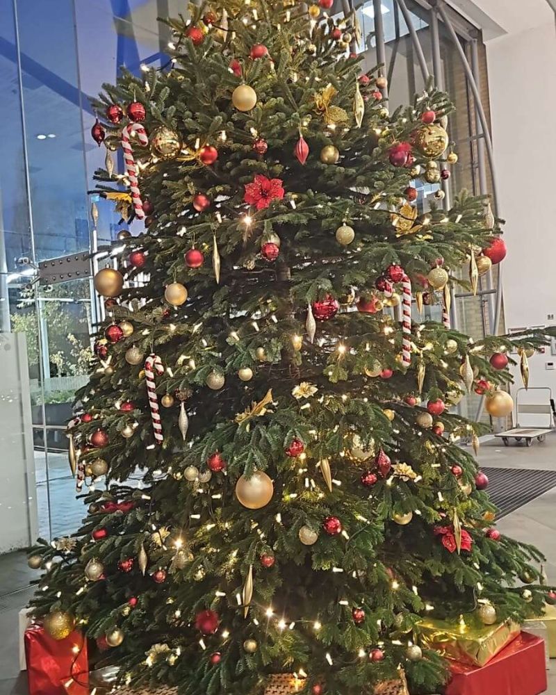Live tree