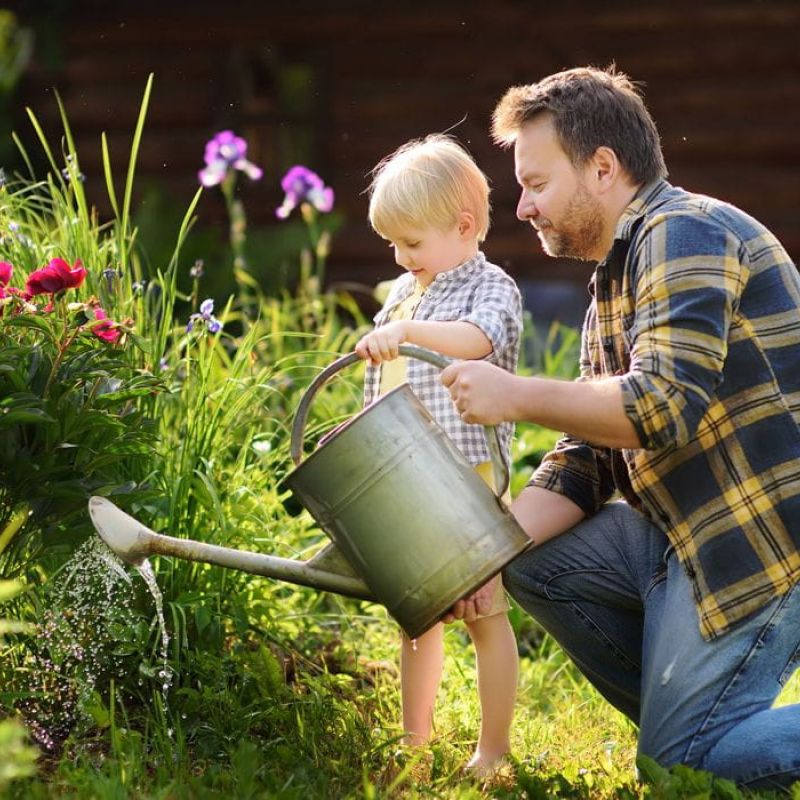 Garden & landscape maintenance