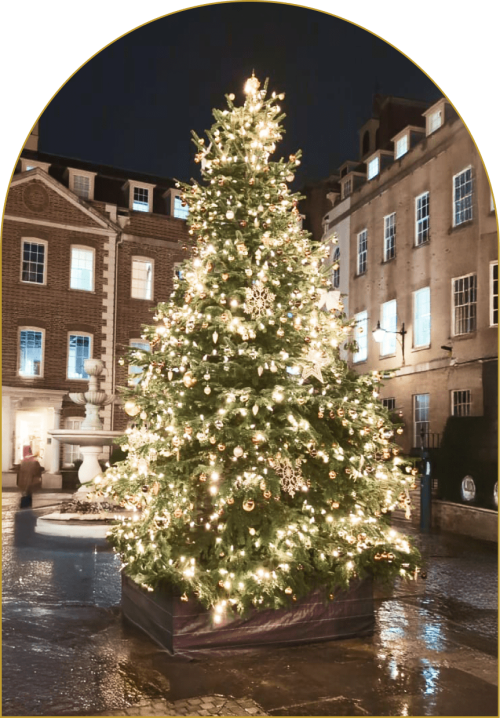 4thD external tree