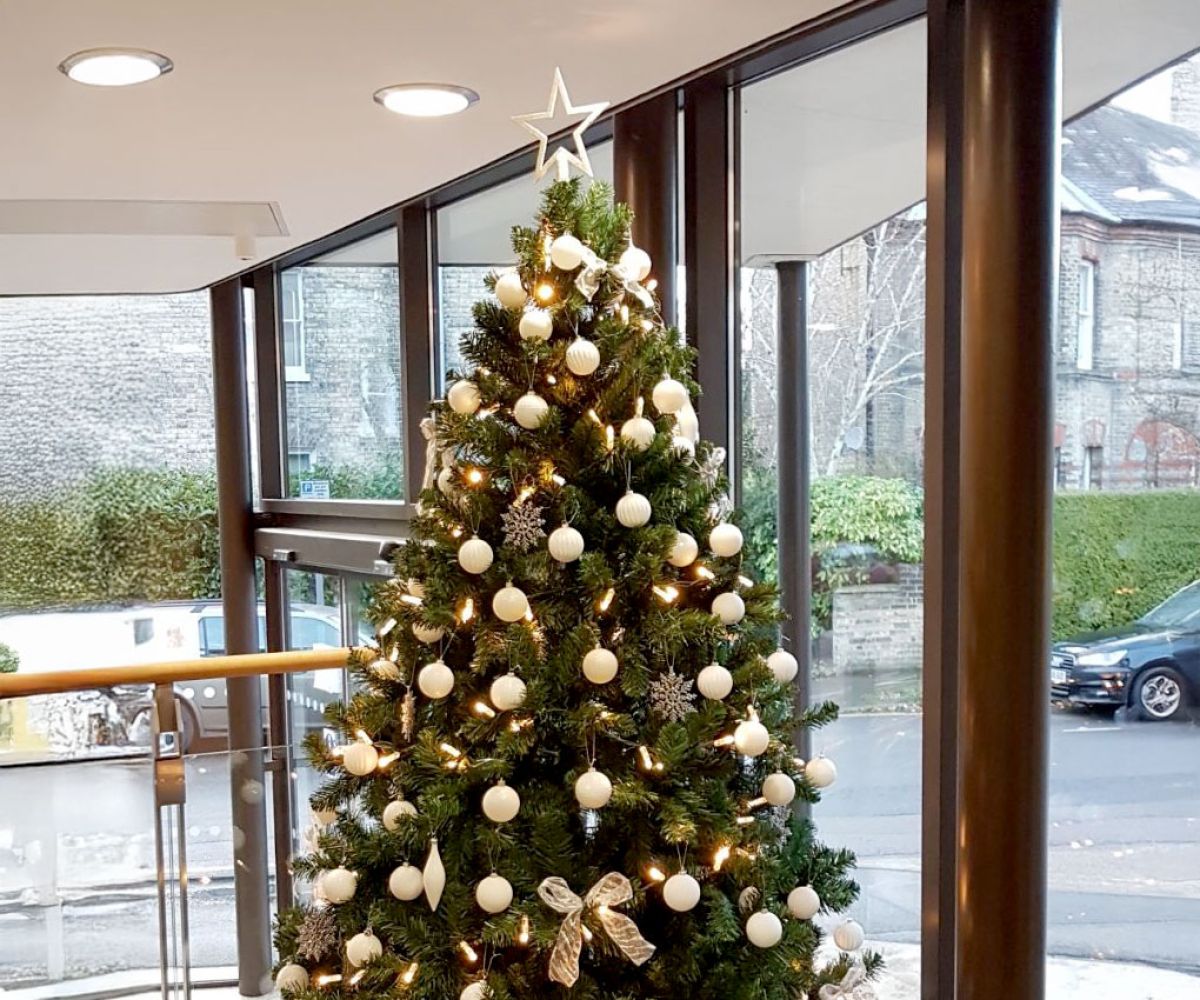 Indoor tree with white and gold palette
