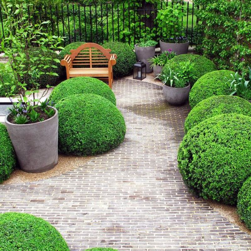 newly designed garden