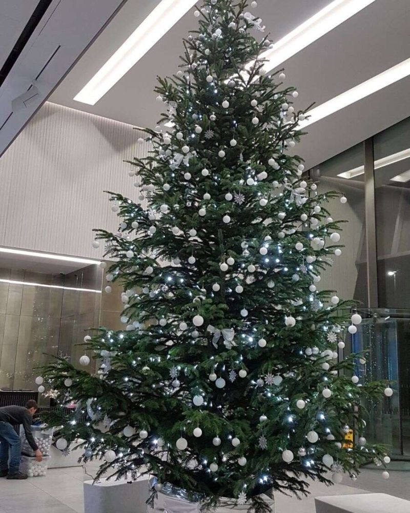 Live tree