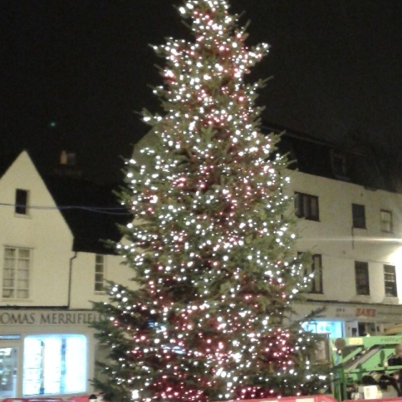 civic display tree