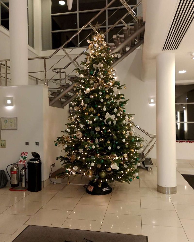 Live tree