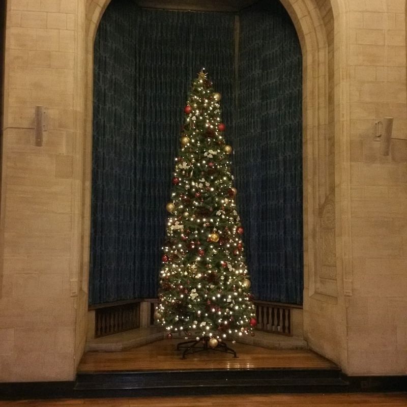 Indoor tree