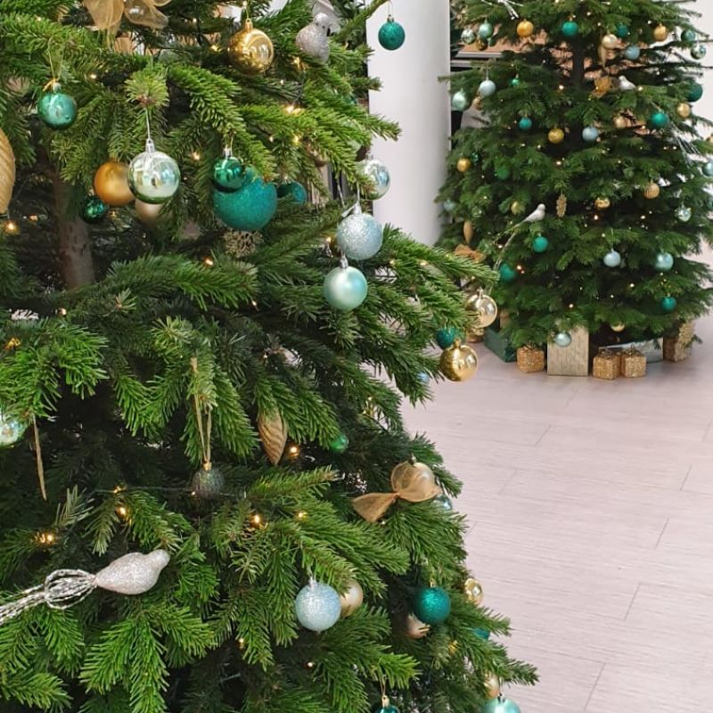 Indoor tree with green and silver palette