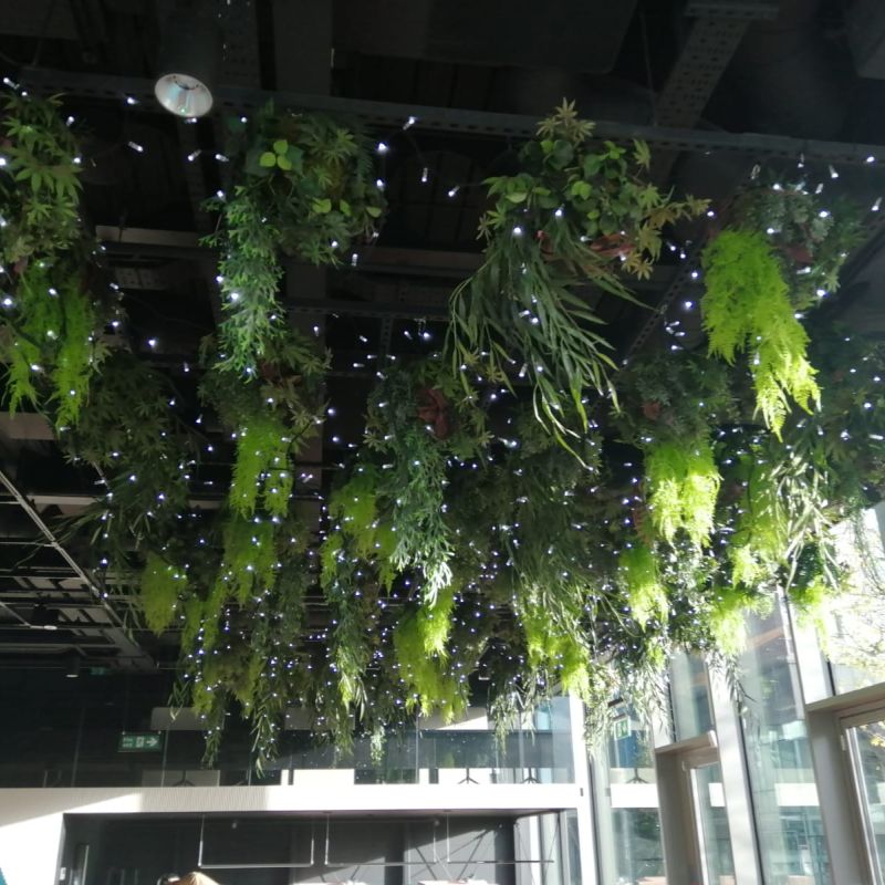 lighting with plant