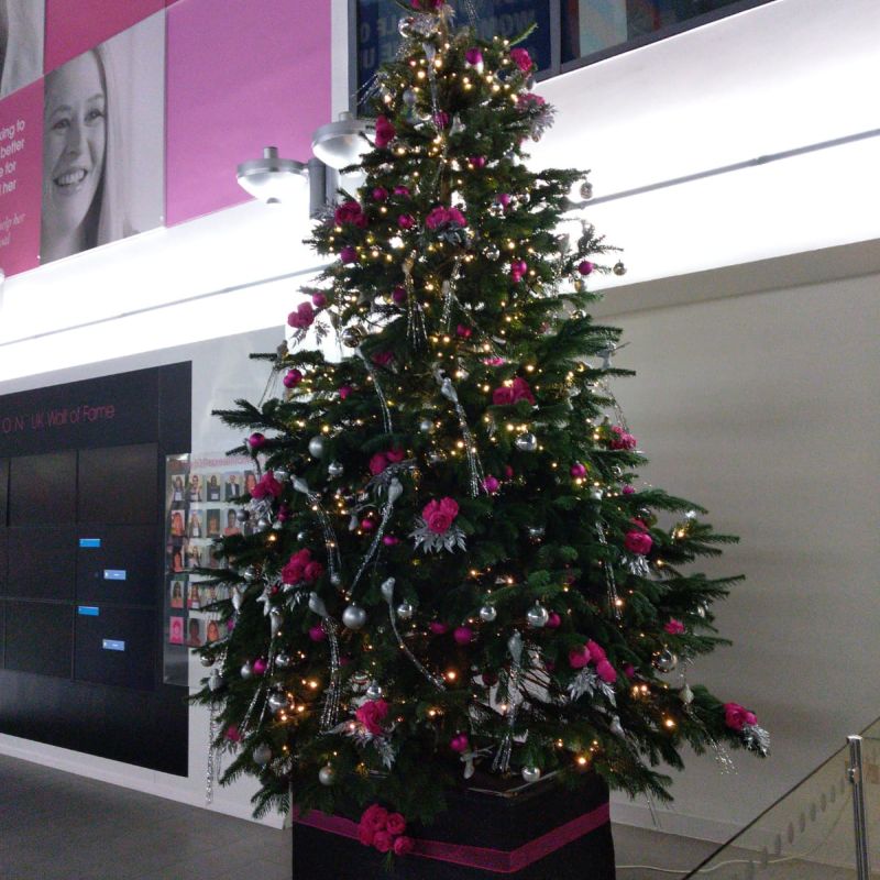 Indoor tree with pink and silver palette