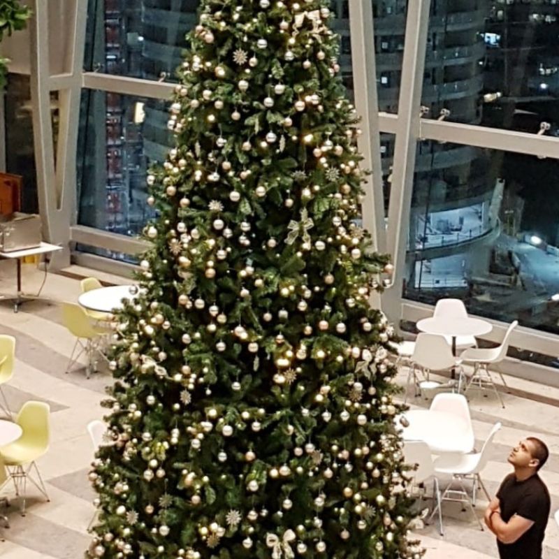 Indoor tree with gold palette