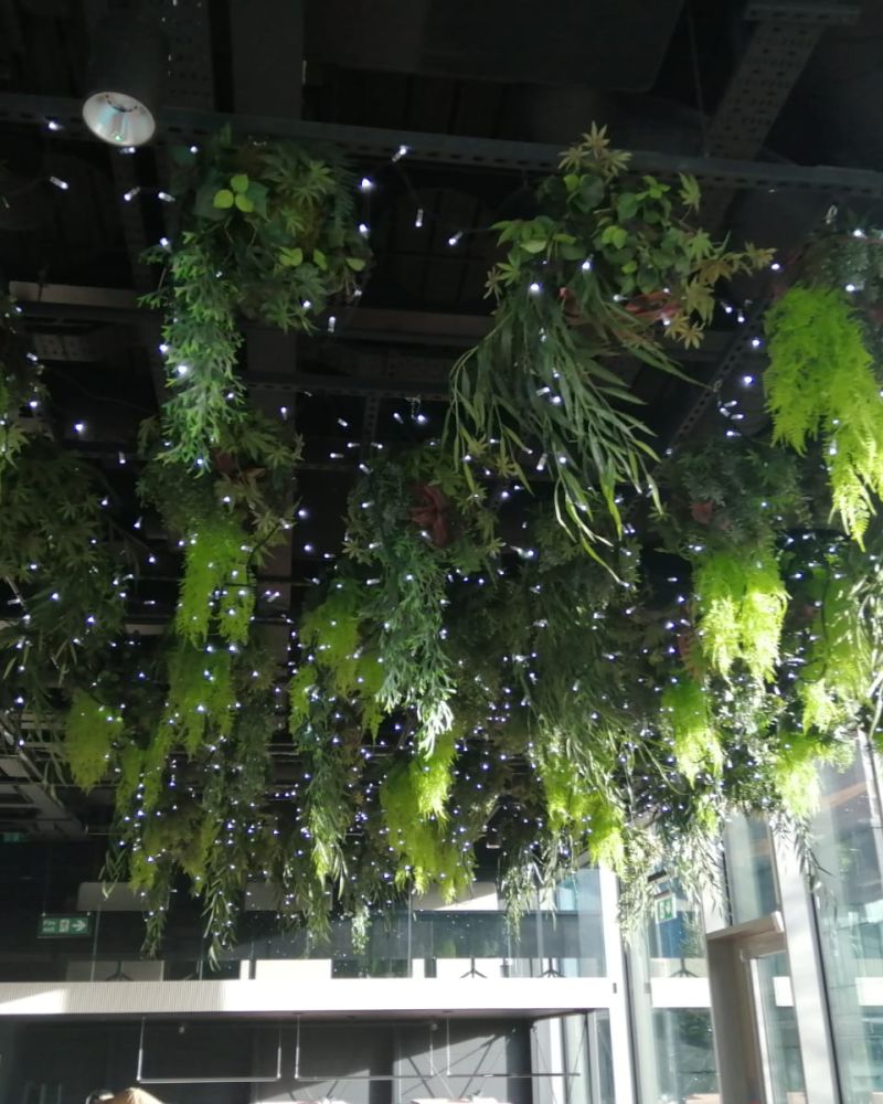 Lighting display with plant